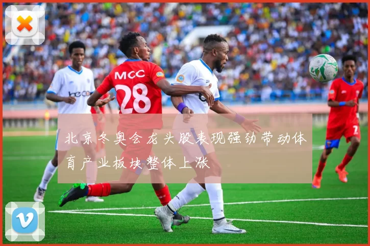 北京冬奥会龙头股表现强劲带动体育产业板块整体上涨